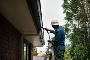 Gutter Cleaning